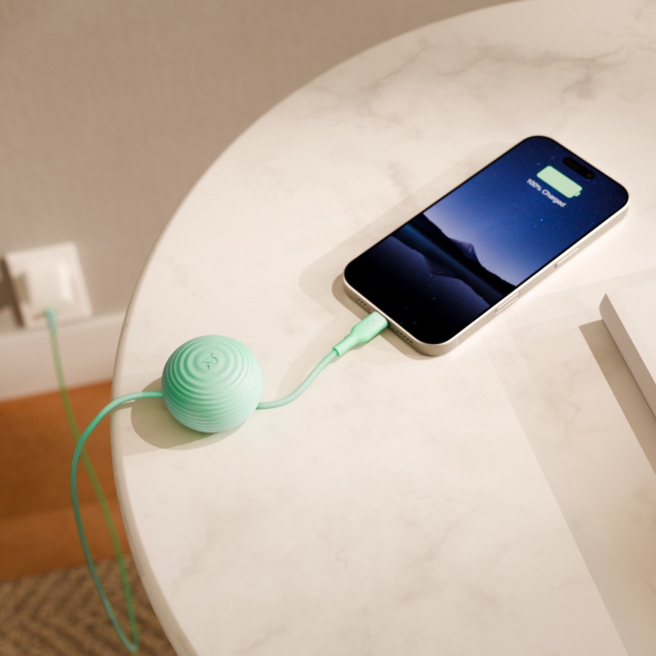 Twelve South CableStay USB-C Kabel Mint 1,5m 60W