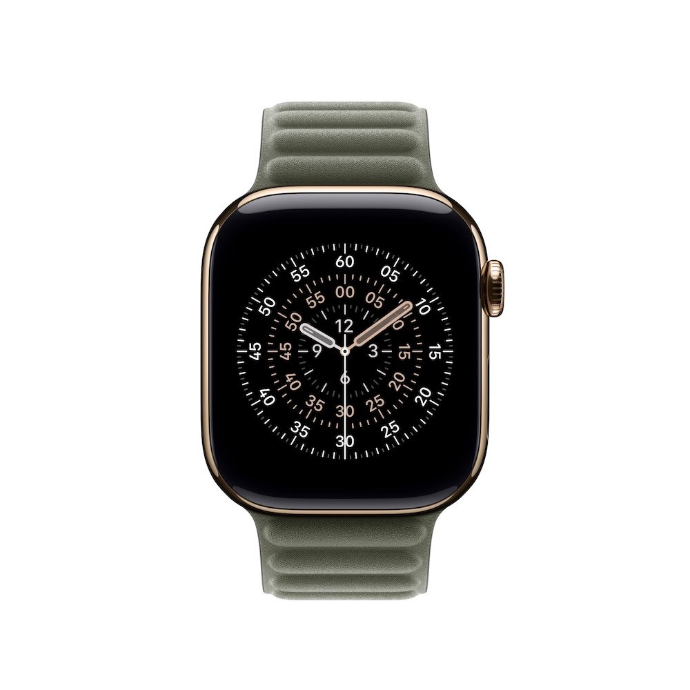Apple Armband mit Magnetverschluss Silbergrau 42mm (Series 10/11) M/L (140-180 mm Umfang) Lederimitat