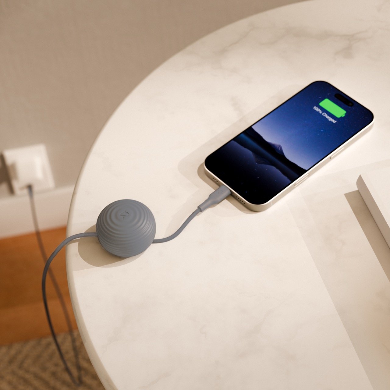 Twelve South CableStay USB-C Kabel Slate 1,5m 60W